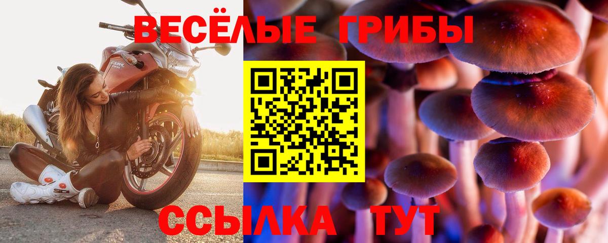 Надым  Псилоцибиновые грибы Psilocybe  Вход с VPN 